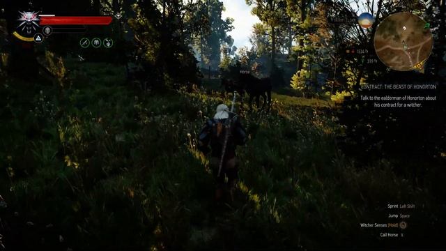 The Witcher 3 - Cyclops doing a leap смотреть онлайн