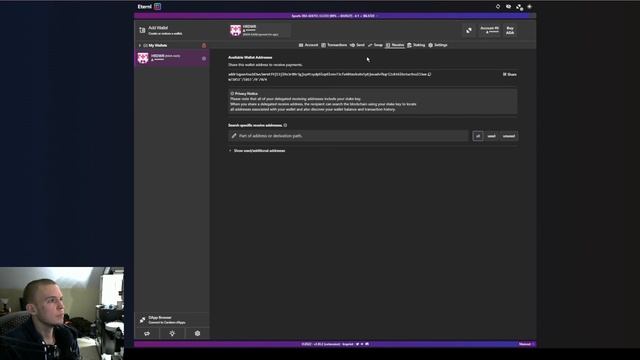 The Eternl Wallet смотреть онлайн