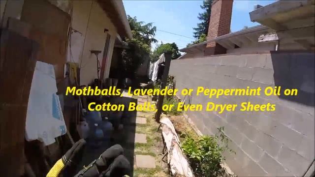 How To Protect Your Home From Rats, Mice & Rodents -Jonny DIY