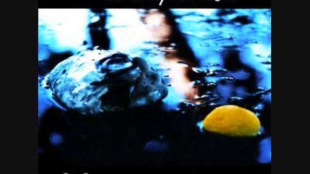 EL ALQUIMISTA - BABIA - MAKTUB смотреть онлайн