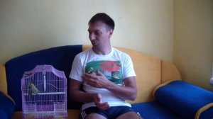 Отчет о лечении волнистиков.Три типа покупателей птичек.Хочу все сразу.