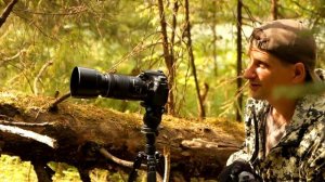 съемка птиц на canon 70D / canon 600D кайф в лесу