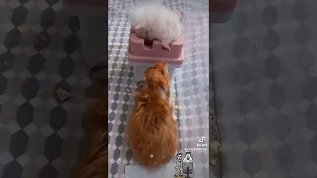 Один на всех🏠 смотреть онлайн