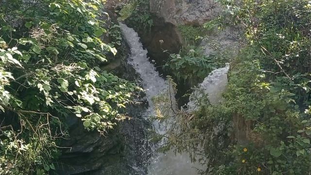 Карачаево. Медовые водопады. 24.06.23. смотреть онлайн