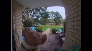 гимн качков 1час