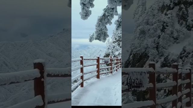 #shorts смотреть онлайн