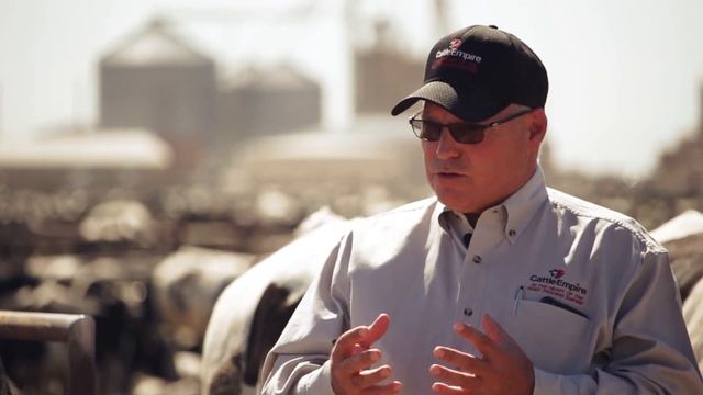 What Do Cattle Eat: Diet Formulation & Nutrition