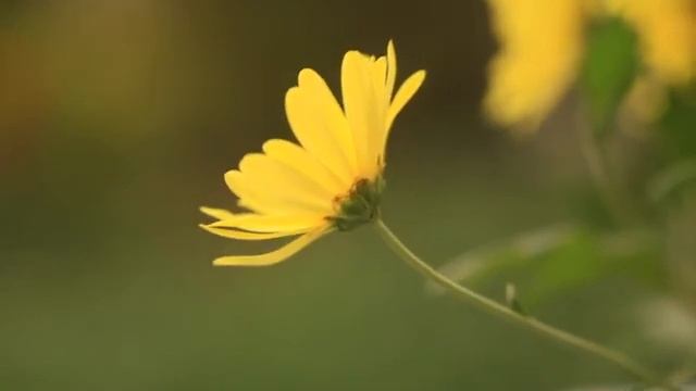 Струн души рука Христа касается смотреть онлайн