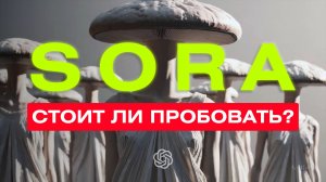 ОБЗОР SORA: ЛУЧШАЯ НЕЙРОСЕТЬ ДЛЯ ВИДЕО 2024? Как работает SORA за 8 минут