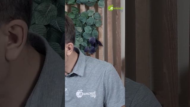 Стаканчики для рассады своими руками! Часть 1. смотреть онлайн