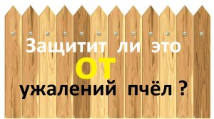 Все ли решит двухметровый забор вокруг пасеки