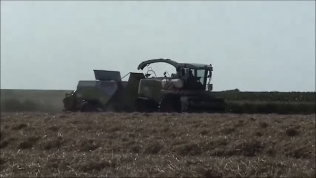 Claas Jaguar med Quadrant 2200 смотреть онлайн