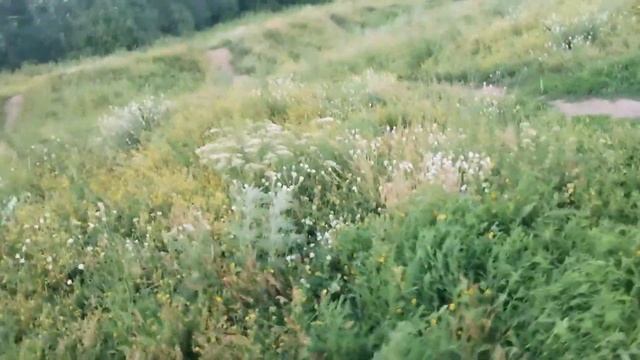 выходной день смотреть онлайн