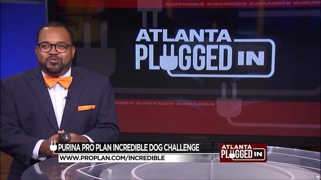 Purina Pro Plan Incredible Dog Challenge смотреть онлайн