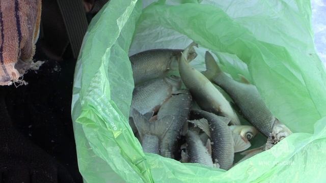 Подледная рыбалка должна быть безопасной смотреть онлайн