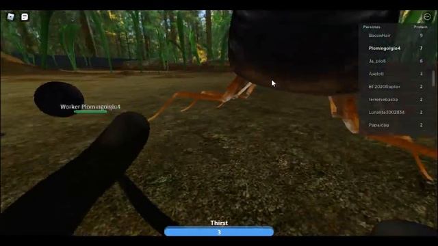 ANT LIFE BETA TESTING ,THE LIFE OF YELLOW ANTS ( Anoplolepis Gracilipes 1 EPISODE ) THE BATTLE смотреть онлайн