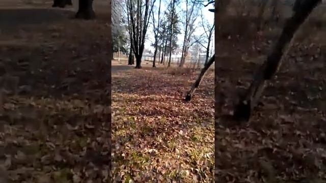 Ботаник часть 1 смотреть онлайн