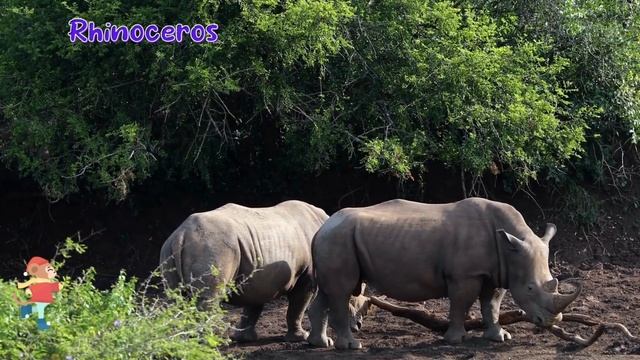 Baby Animals - Panda, Koala, monkey, Cat, Dog, Rabbit, Horse, Chicken - Animal Sounds смотреть онлайн