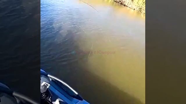 Всегда берите с собой подсак, чтобы исключить подобные моменты!