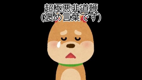 SM鞭の王者、一本鞭の中でも1番痛い最恐の鞭はコレだッ！（わんは絶対受けたくない）【わんびにこ】