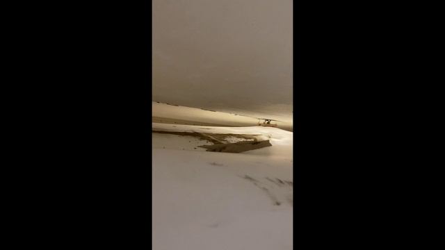 От чего еще спасает натяжной потолок, кроме протечки сверху. смотреть онлайн