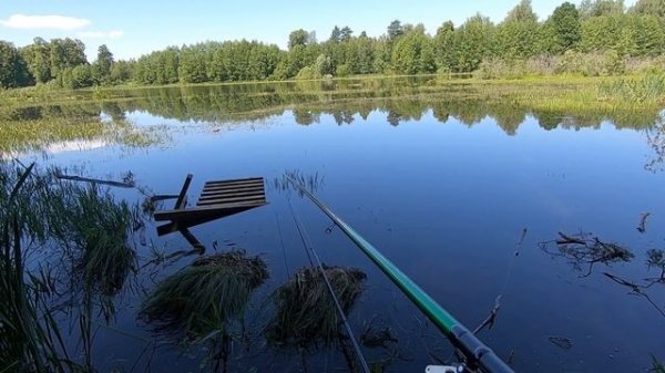 рыбалка на поплавок 2020 на карася,(кукуруза или хлеб)!!!