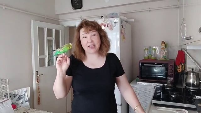 Влог_ Болталка ✔️Кто о чём 😁✔️Ох уж этот Иннокентий 😃✔️ Кеша Ревнивый Парень 😃✔️У нас жара ✔️ Тур смотреть онлайн