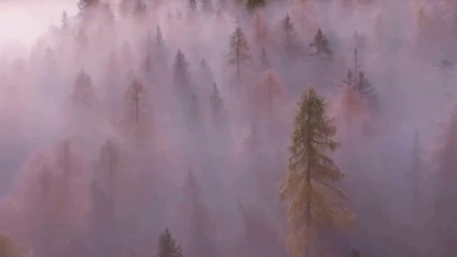 Лодочка - Александр Эгромжан смотреть онлайн