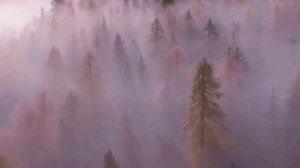 Лодочка - Александр Эгромжан