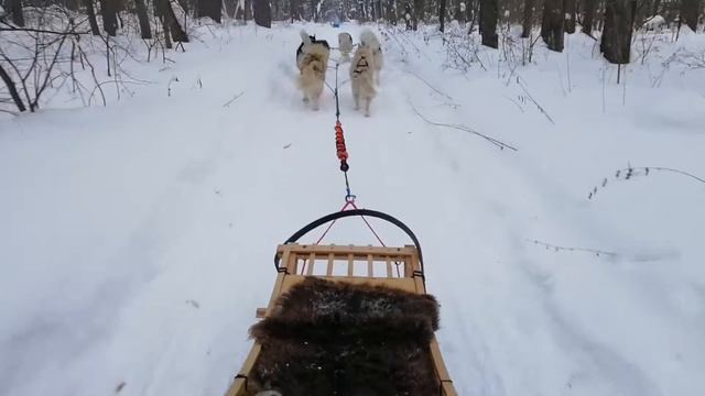 Ой-ся, ты ой-ся, ты меня не бойся! смотреть онлайн