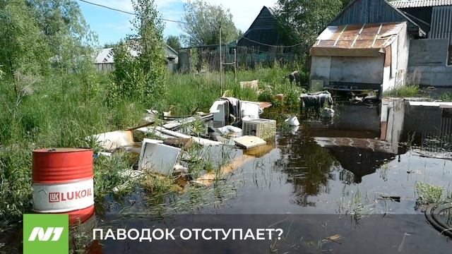 Вода пошла на спад? Нижневартовск смотреть онлайн