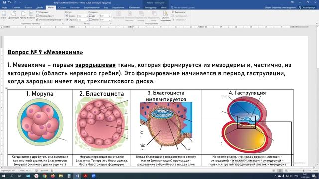 ТЕОРИЯ. Вопрос № 9. "Мезенхима" смотреть онлайн