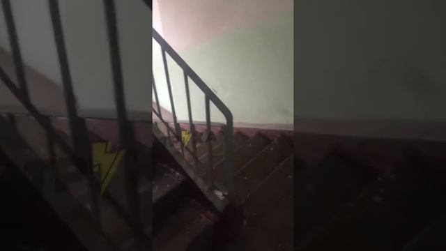 #нампишут Новые Дома ул.Танкопия. Первый день дали Отопление сегодня смотреть онлайн