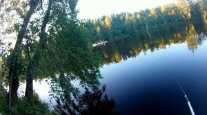 Рыбалка на поплавок у дома.