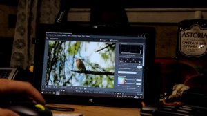 душевный отдых в лесу