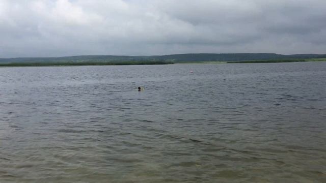 Воронеж. 18 июля 2018. 09:36 смотреть онлайн