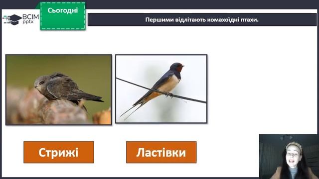 ЯДС 2 кл НУШ 84 урок Як мандрують птахи 1 частина смотреть онлайн
