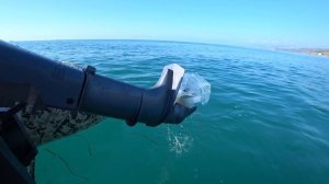 Проверка термостата  лодочного мотора Yamaha 3amhs