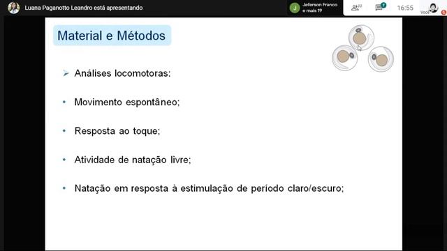 Seminário 13 - Grupo de Pesquisa Estresse Oxidativo e Sinalização Celular - UNIPAMPA, São Gabriel. смотреть онлайн