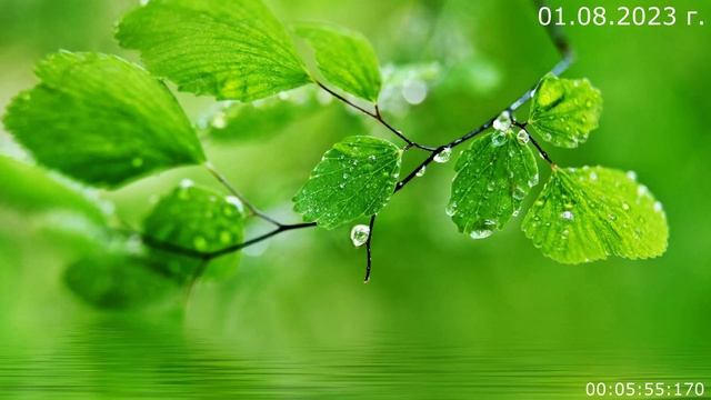 753 Игра Маббу. Река времени 01.08.2023 г смотреть онлайн