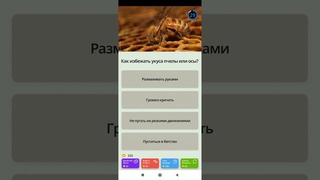 играю в QuizzLand