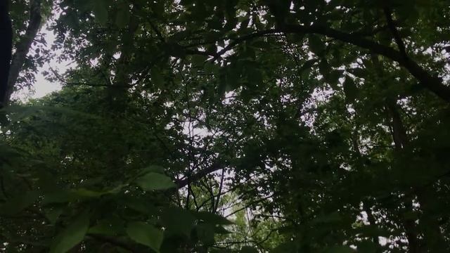 Summertime - My Chemical Romance (cover) смотреть онлайн