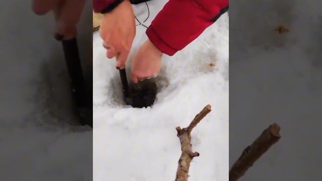 Монстр по первому льду.