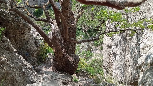 с.Высокое-Новый Свет.20.05.23. смотреть онлайн