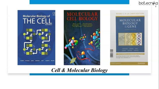 Best Reference Books For GATE Biotech 2025 Exam - Our Top Picks! #gateexam #gate2025 #biotechnology смотреть онлайн
