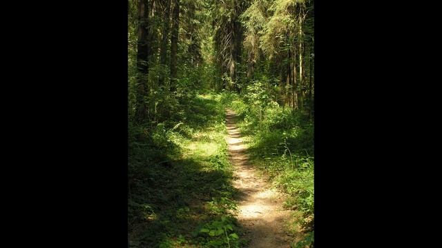 Аквариум - Десять стрел. (cover. Ирина Карасева) смотреть онлайн
