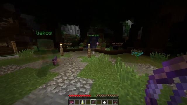 MINECRAFT MANHUNT #1