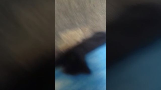 25 июля 2023 г. смотреть онлайн