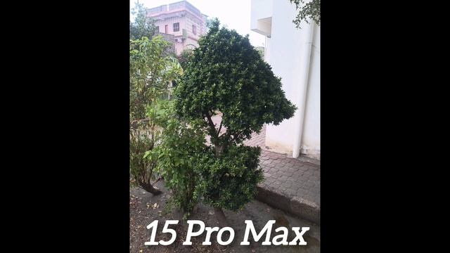 Google Pixel 9 Pro VS IPhone 15 Pro camera Test Comparison смотреть онлайн