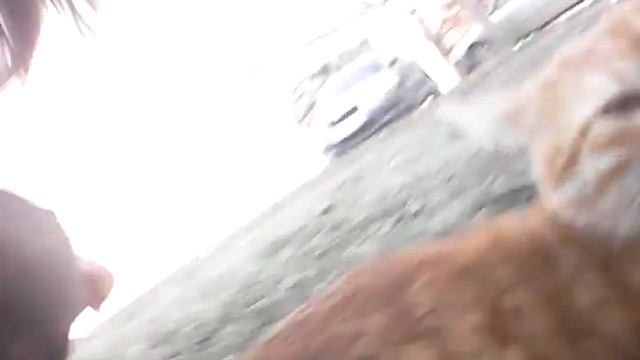 Вызываем палочника))) смотреть онлайн